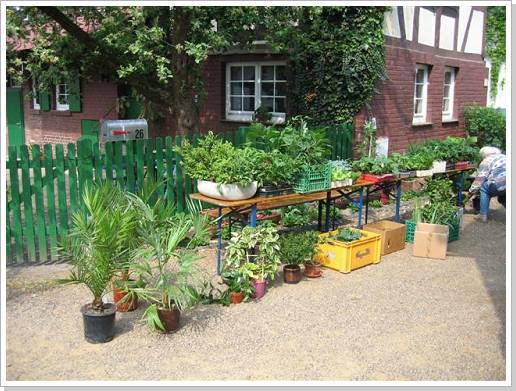 0086_backhaus_86 .jpg